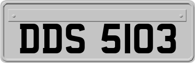 DDS5103