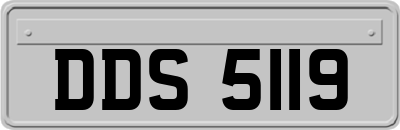 DDS5119