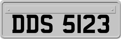 DDS5123