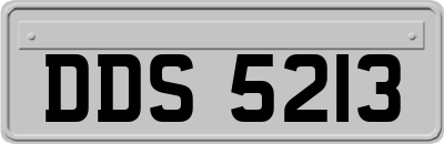 DDS5213