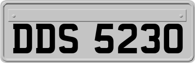 DDS5230