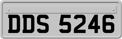DDS5246