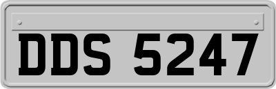 DDS5247