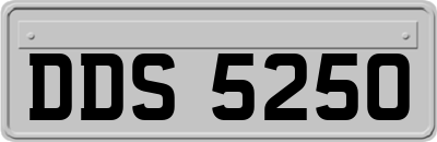 DDS5250