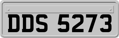 DDS5273