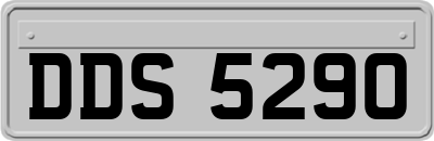 DDS5290