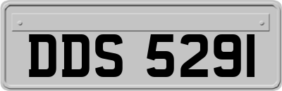 DDS5291