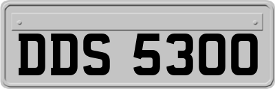 DDS5300