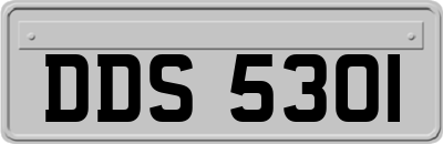 DDS5301