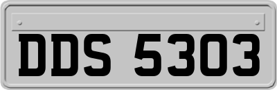 DDS5303