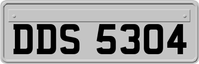 DDS5304
