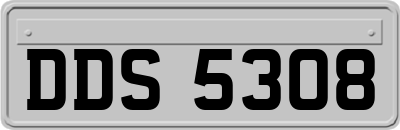 DDS5308