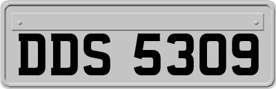 DDS5309