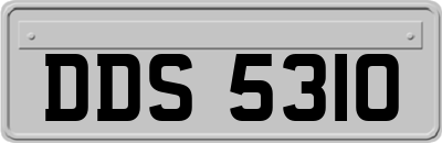 DDS5310