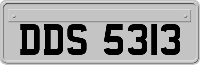 DDS5313