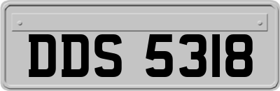 DDS5318