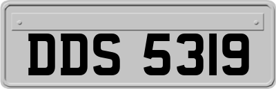 DDS5319