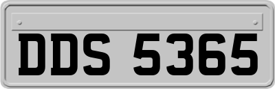 DDS5365