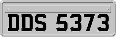DDS5373