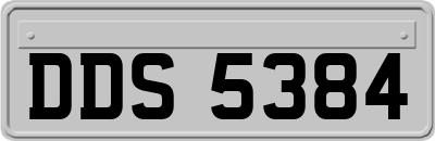 DDS5384
