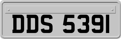 DDS5391