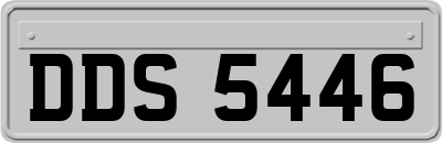 DDS5446