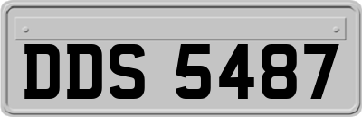 DDS5487