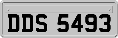 DDS5493