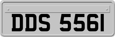 DDS5561