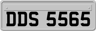 DDS5565
