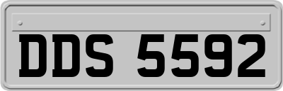 DDS5592