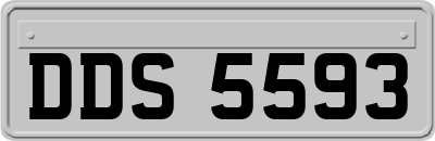 DDS5593