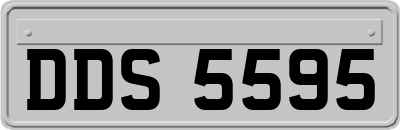 DDS5595