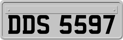 DDS5597