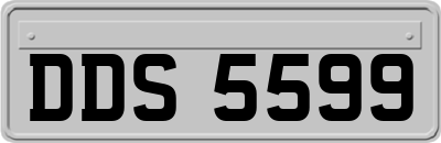 DDS5599
