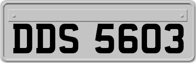 DDS5603