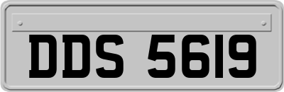 DDS5619