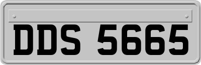 DDS5665