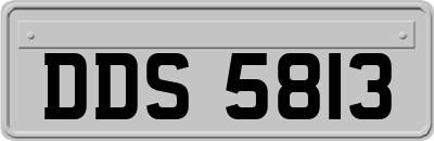 DDS5813