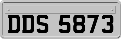 DDS5873