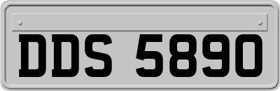 DDS5890
