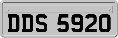 DDS5920