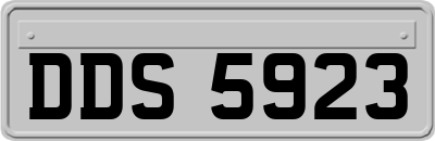 DDS5923