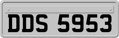 DDS5953
