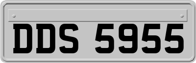 DDS5955