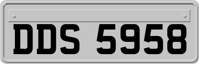 DDS5958