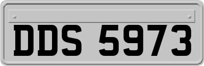 DDS5973