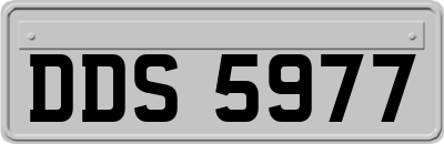 DDS5977
