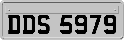 DDS5979