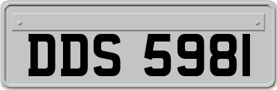DDS5981